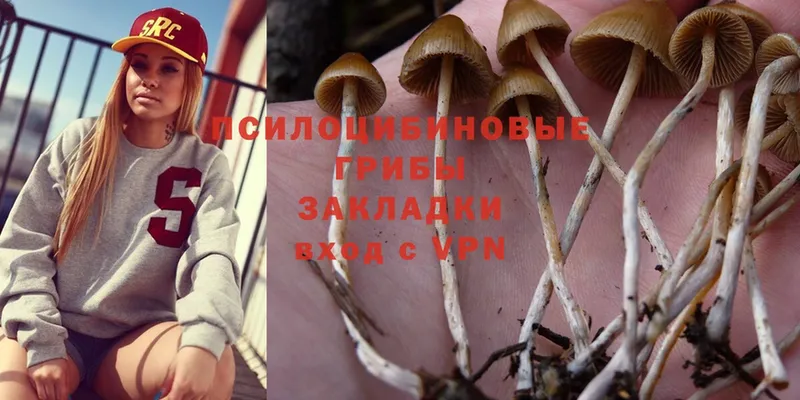 Галлюциногенные грибы Cubensis  Оха 